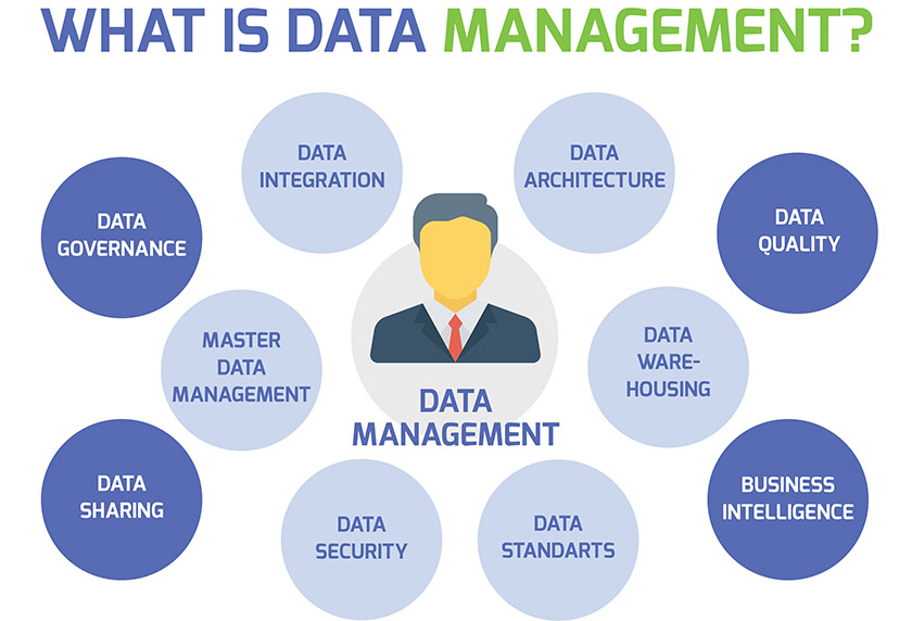 The Importance of Data Management for Growing Businesses